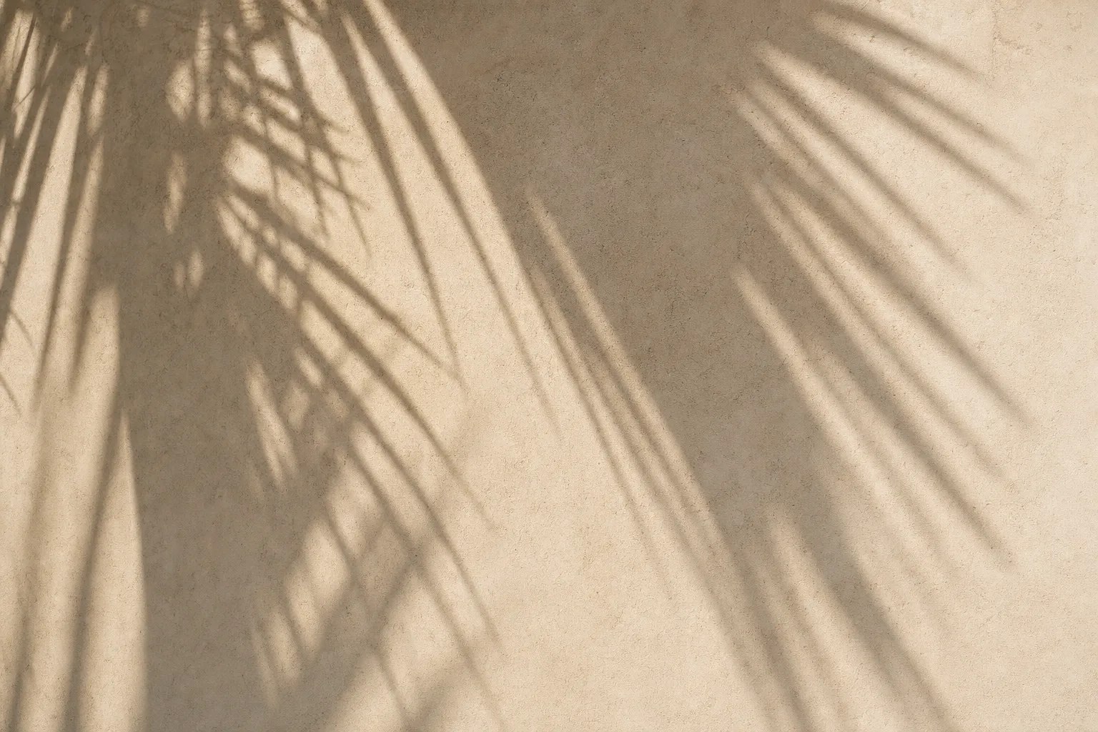 Cost of living in Puerto Morelos: rent and monthly budget
